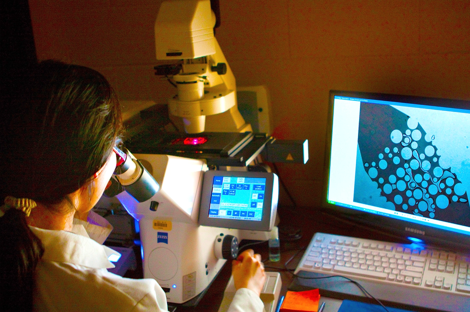 Student looking through stethoscope compiling data on computer.